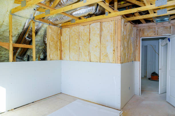 Best Eco-Friendly or Green Insulation Solutions  in Paris, MO