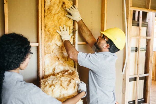 Best Wall Insulation Installation  in Paris, MO